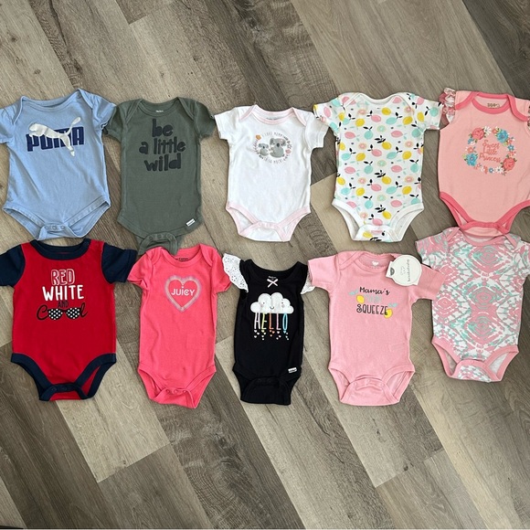 Baby Girl 10pc Bodysuit Lot 3-6 mos Mixed Brands - Picture 1 of 9